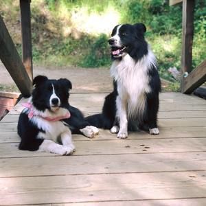 Meet your Posher, Katelyn